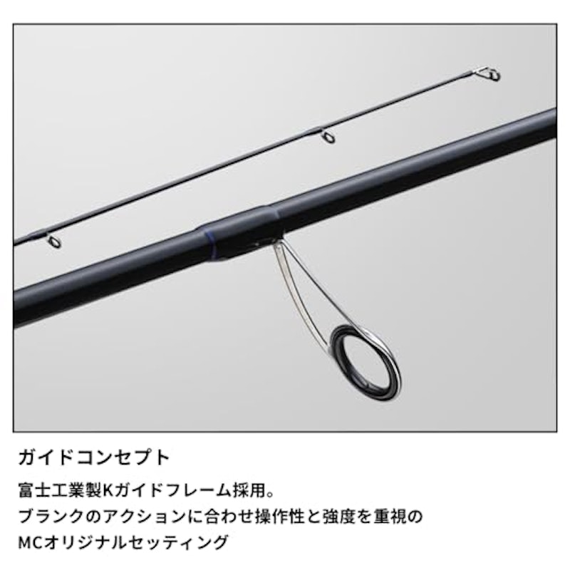 シーバスロッド 5