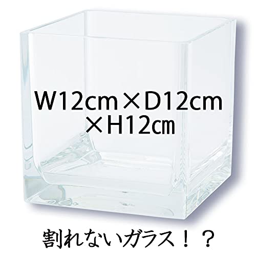 PVキューブ 2