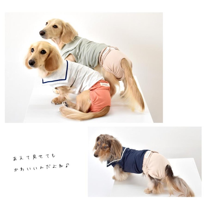 マナーパンツ 4