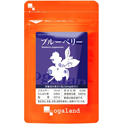 ブルーベリー 1