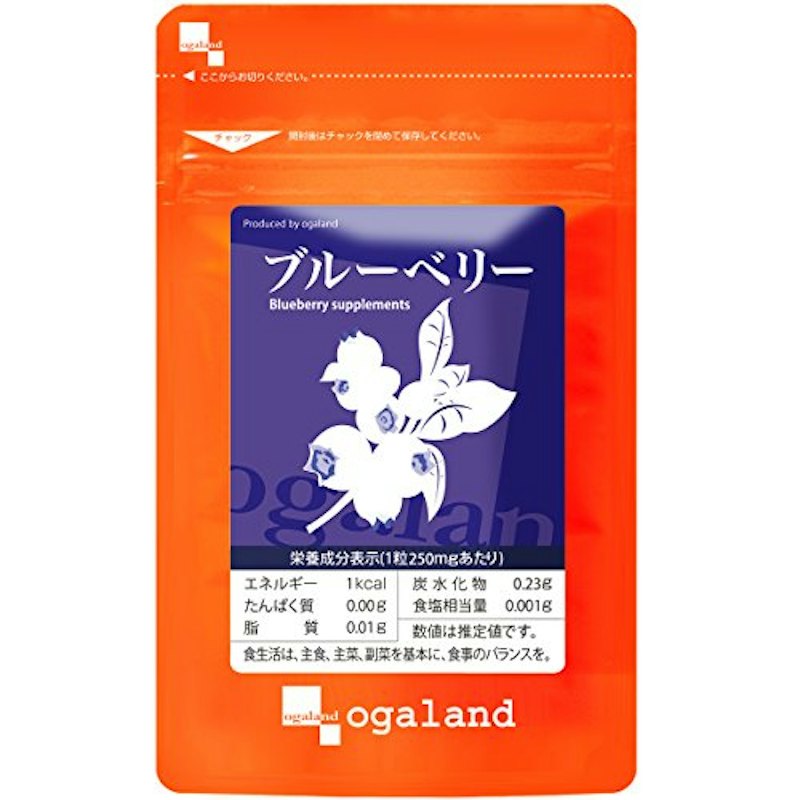 ブルーベリー 1