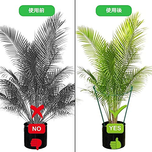 植物支柱 8点セット 5