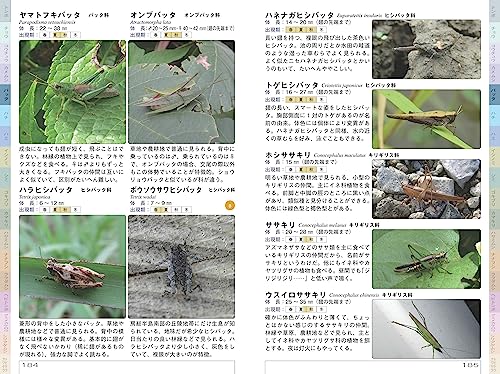 千葉の昆虫図鑑 5