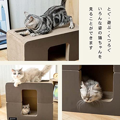 つめみがき ベッド型 6