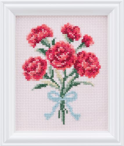 四季折々の花だより カーネーション 1
