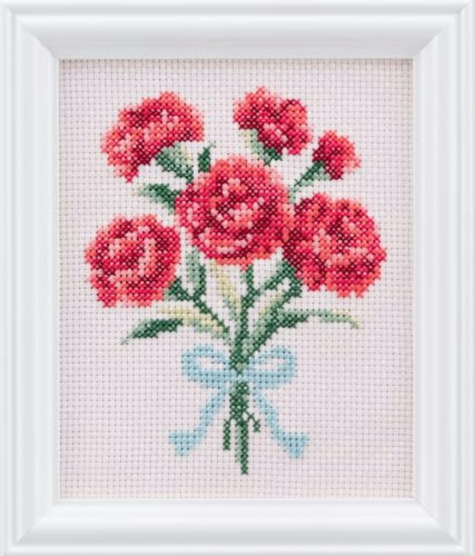 四季折々の花だより カーネーション 1