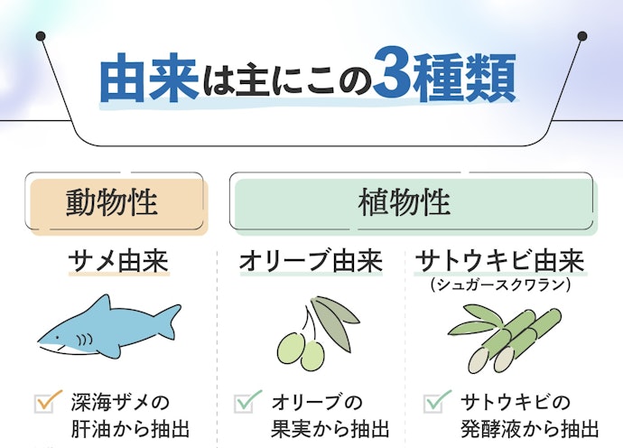 まずは由来をチェック!自分にあったものを選ぼう