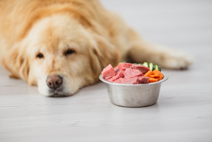 食物アレルギー持ちの愛犬には、アレルゲンになりやすい素材が含まれないものを