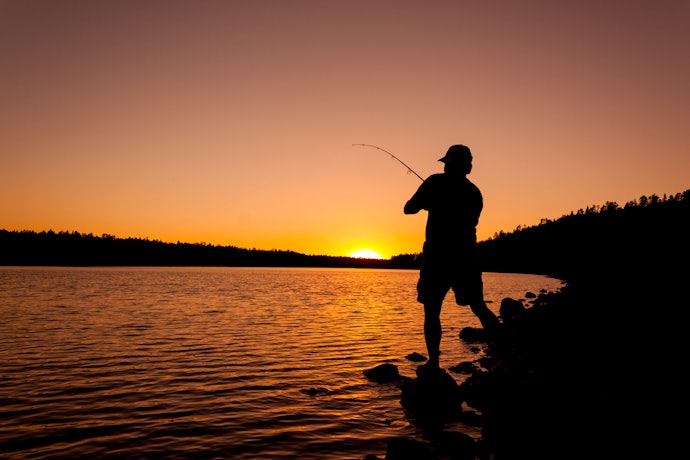 操作性にこだわる場合はアクションにも注目しよう