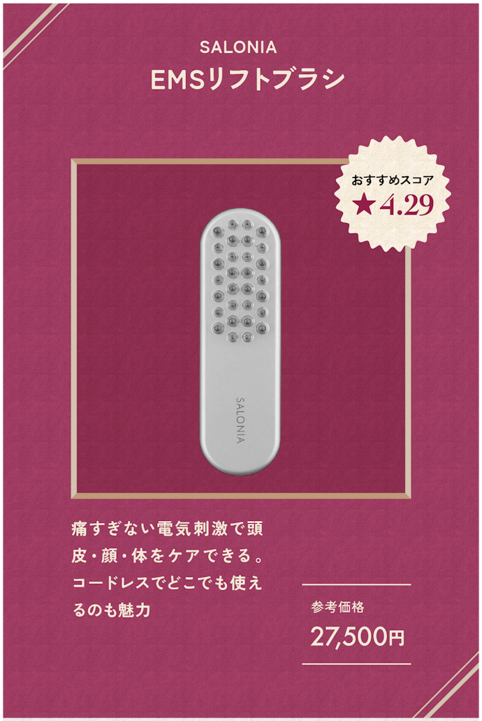 【電気ブラシ】SALONIA EMSリフトブラシ(27,500円)