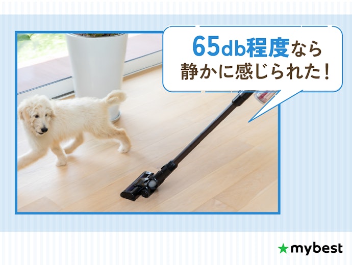 夜間に掃除したい人や、家族やペットがいる環境なら、静音性にも注目