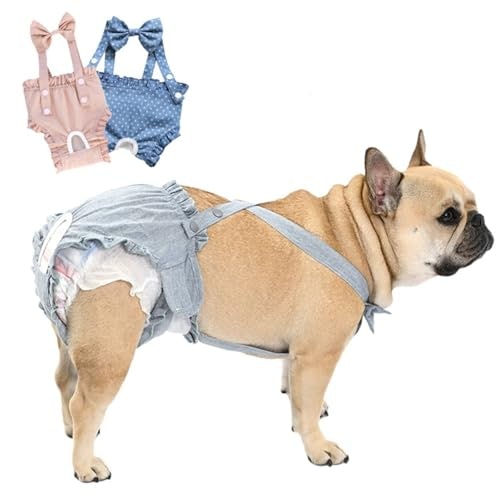 愛犬の体型に合わせてサイズを決めよう