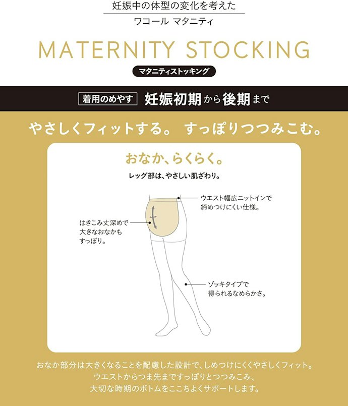 お腹周りの形状を確認