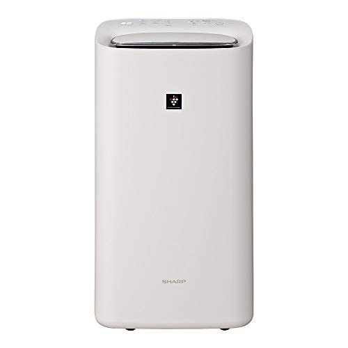 通年で使いたいなら加湿機能つきのモデルが狙い目