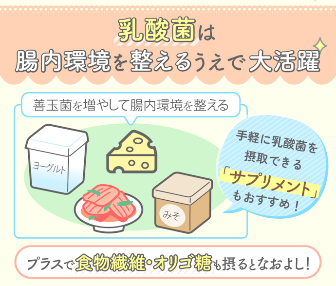 腸内環境の悪化によるものなら「乳酸菌」も摂取しよう