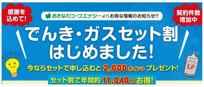 でんき・ガス セット割で最大2,000ポイントがもらえた