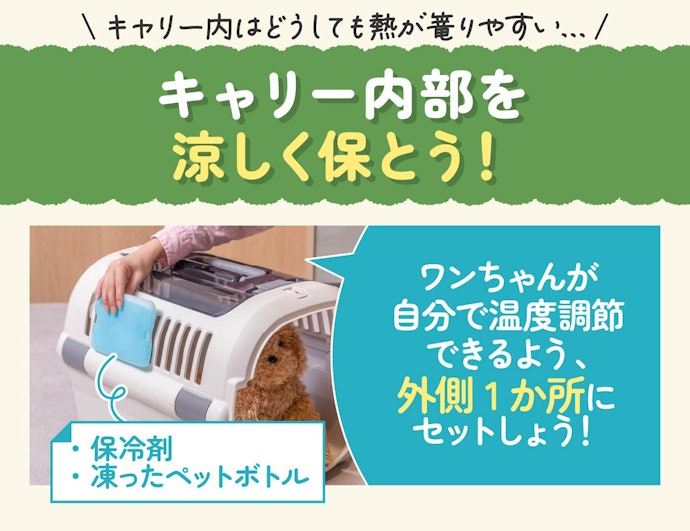 夏の暑い時期に使用する場合、保冷剤などでプラスαの工夫をしよう