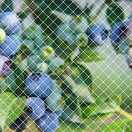 対策したい鳥の種類に合わせて網目のサイズを確認しよう