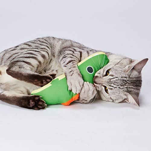 猫のからだに合うサイズがマスト