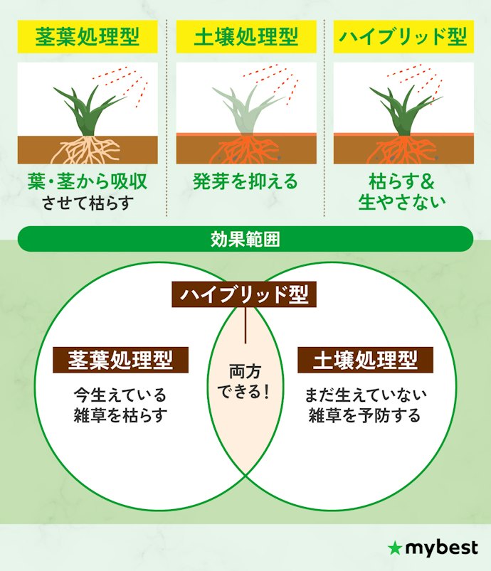 枯らしたい雑草の状態に合わせて処理タイプを選ぼう