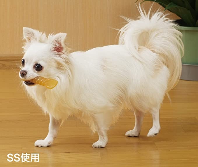 犬の体型・口の大きさに合うものを選ぶのがポイント