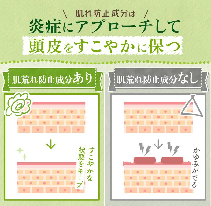 さらに、頭皮環境を整える肌荒れ防止成分配合の育毛剤がベター