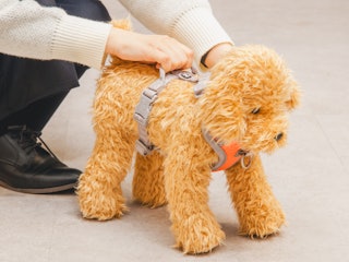 犬への負担のかかりにくさ