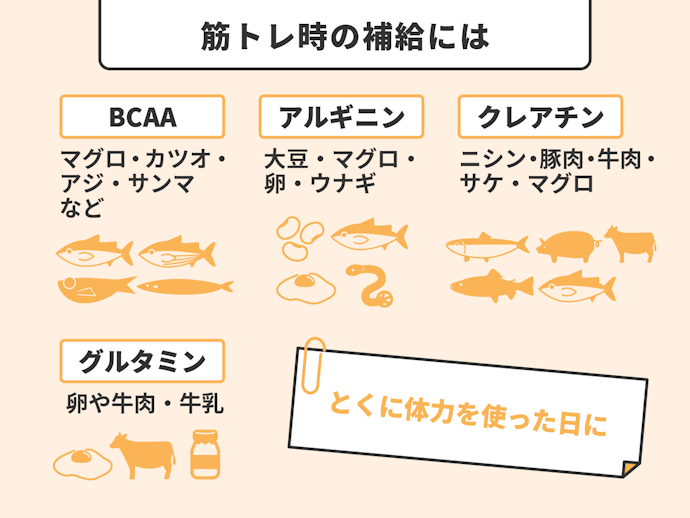 筋肉増量や疲労回復のサポートなら、BCAA・クレアチン・アルギニン・グルタミンを!
