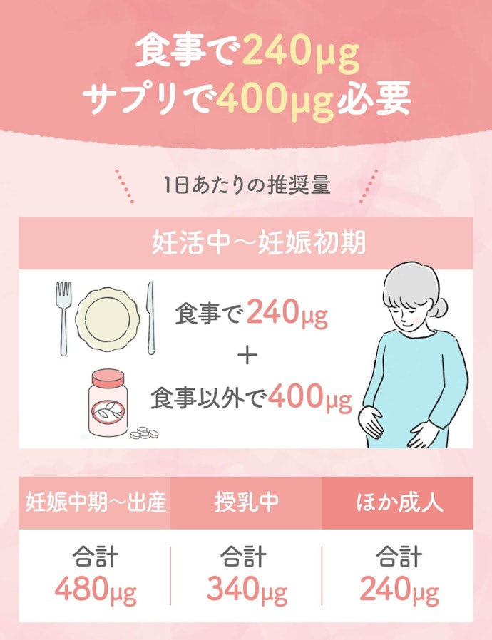 葉酸の量をチェック。妊活中・妊娠初期なら400μgが目安