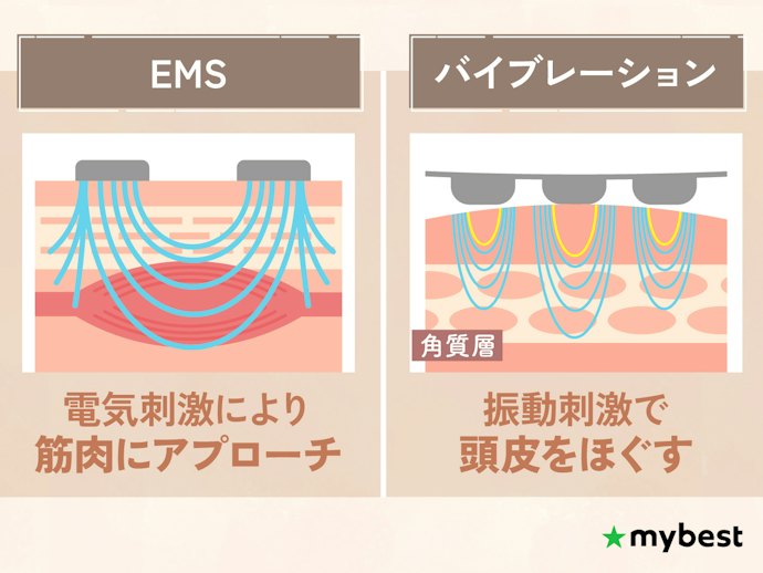 もたつきケアにはEMS、ほぐしケアにはバイブレーション付きの電気ブラシがおすすめ