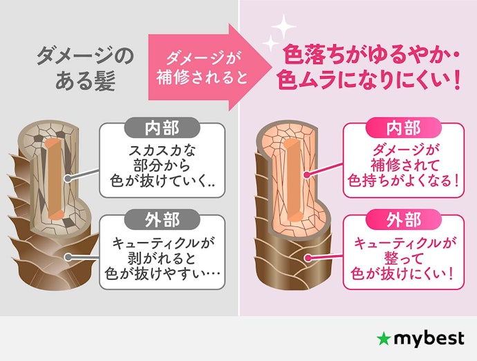 補修成分が充実したピンクシャンプーならなおよし