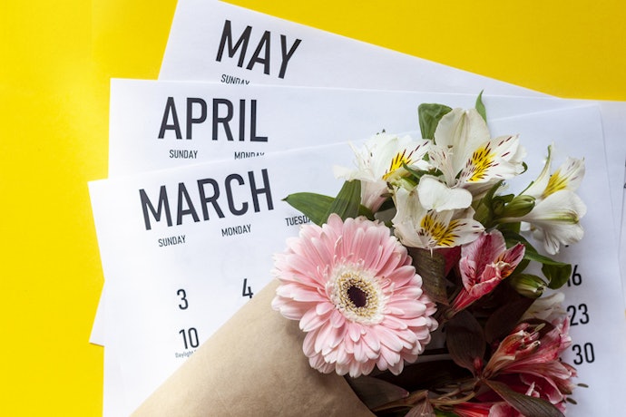 全身脱毛:3〜4か月ごと