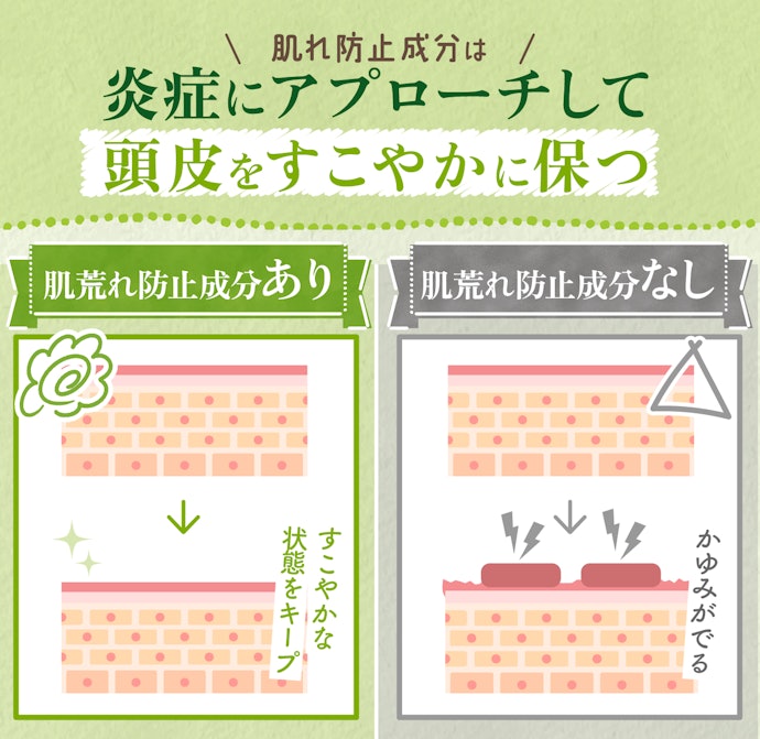さらに、頭皮環境を整える肌荒れ防止成分配合の育毛剤がベター