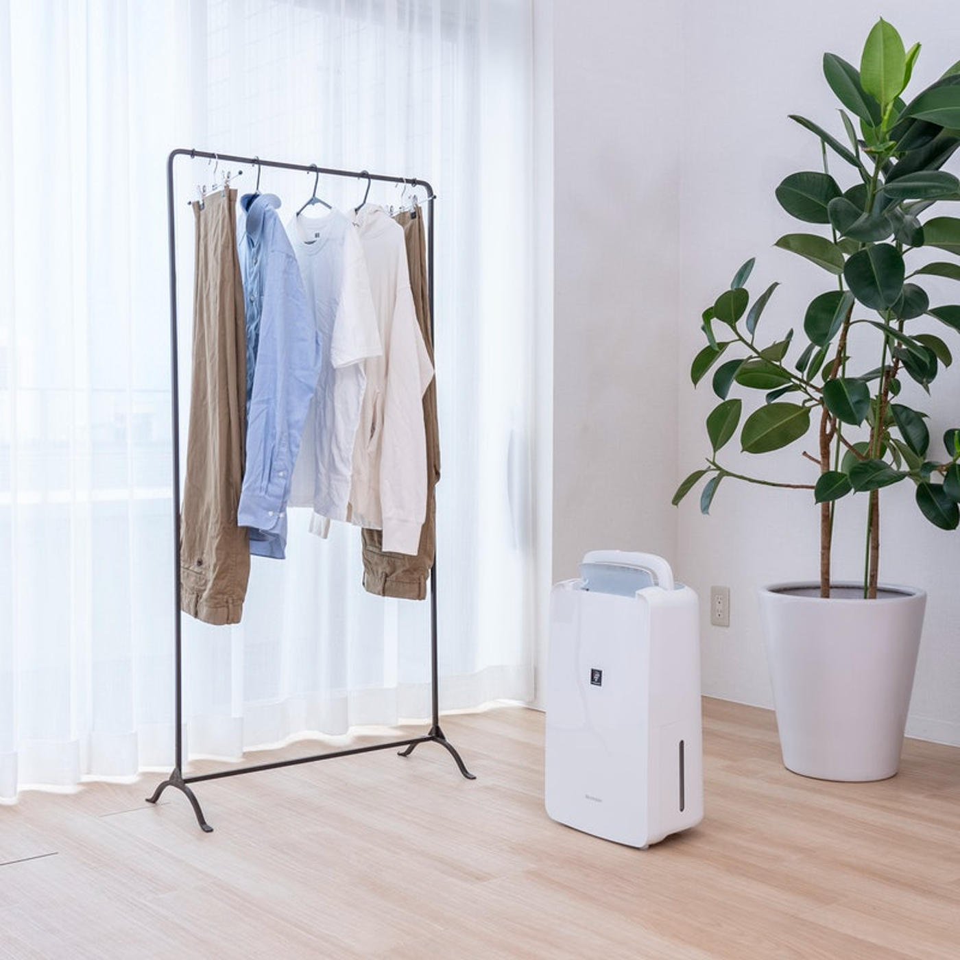 に*こ様 2024年製　シャープ 衣類乾燥 除湿機 CV-R71-W CV-R71 | 除湿機：シャープ