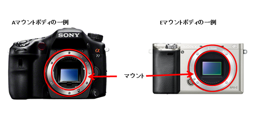 Aマウント?Eマウント?カメラとの相性も確認しよう
