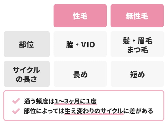 通う頻度は毛周期に合わせて決めるのが大事
