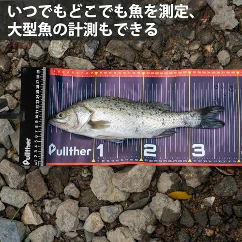 幅をチェック。写真撮影には15cm以上のワイドな商品がおすすめ