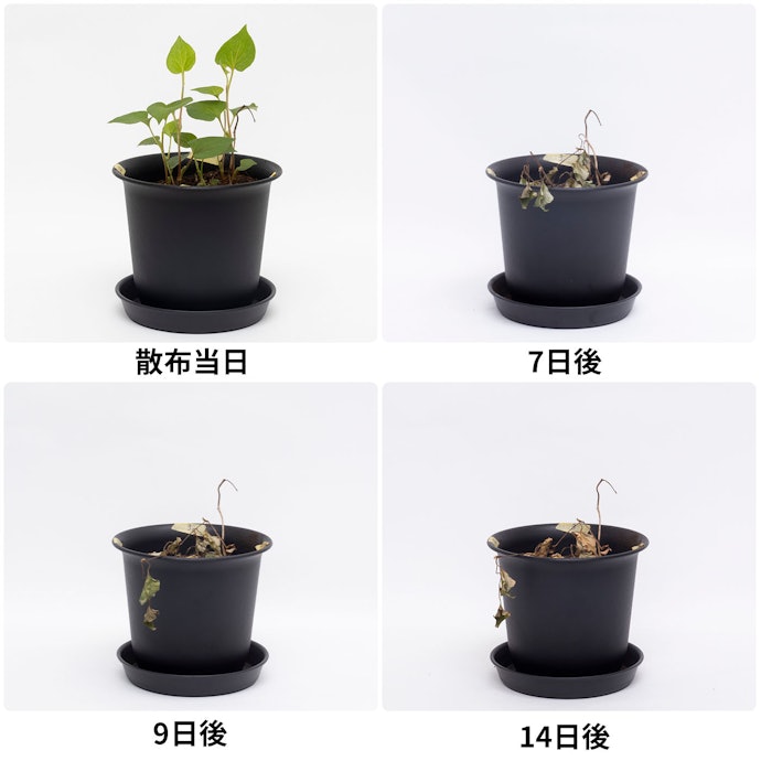 即効性の高さ