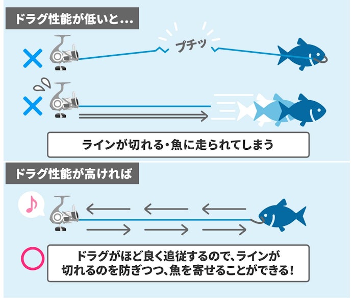 ドラグ性能の高いリールで、アジを逃さずキャッチしよう