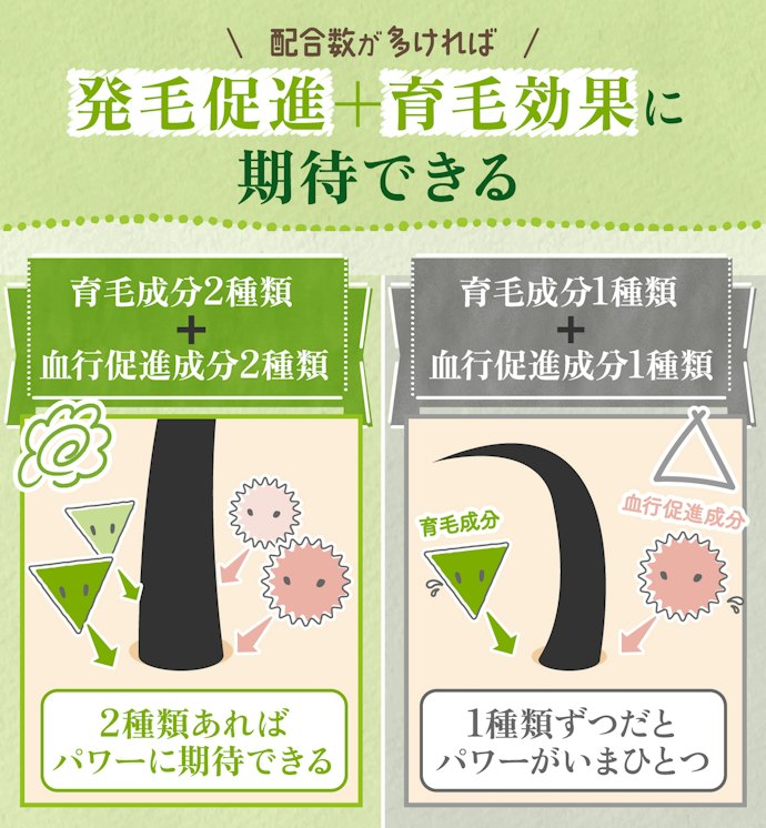 髪を立ち上げ若々しい見た目を目指すなら、育毛成分2種類以上+血行促進成分2種類以上が配合されている育毛剤を!