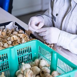 風味や品質にこだわりたいなら、産地や添加物の有無をチェック