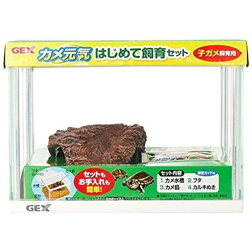亀の飼育初心者の人は、水槽セットがおすすめ