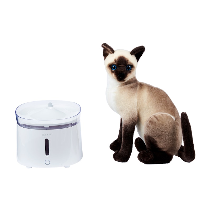 うちのこエレクトリック プラスアクア自動給水器をレビュー