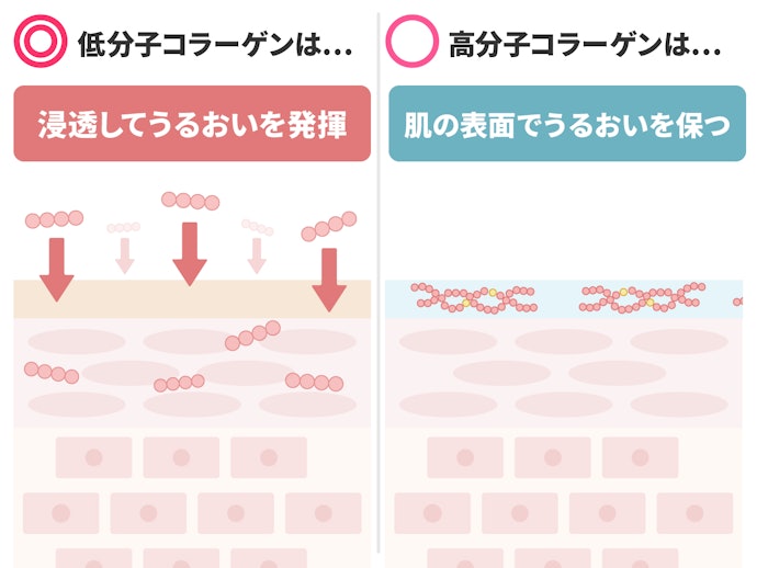 浸透のしやすさがカギ。「低分子コラーゲン」の配合をまず確認して
