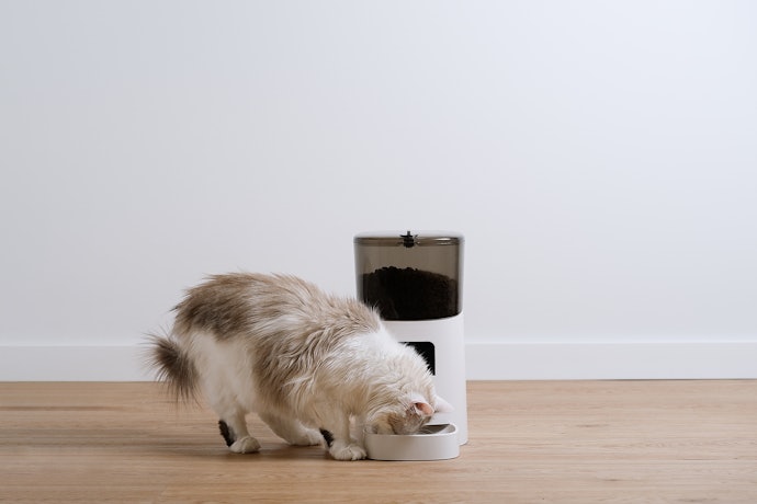 長時間の留守番には自動給餌器。少量ずつ複数回食べる猫にもおすすめ