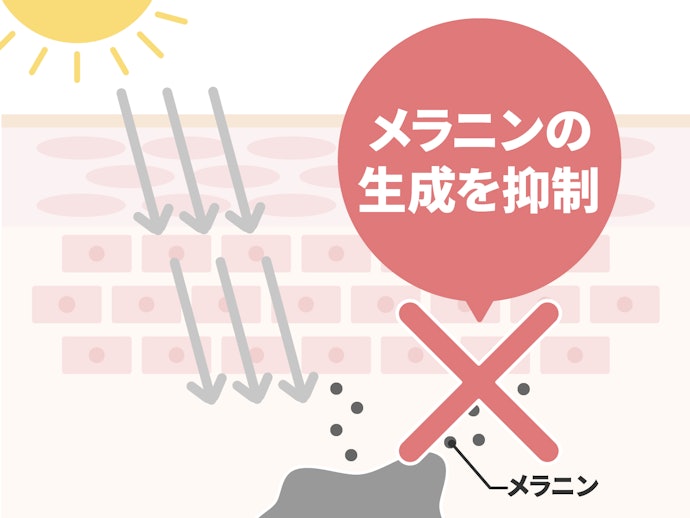 ビタミンC誘導体・アルブチンなどのメラニン生成抑制成分でケアの効率アップ
