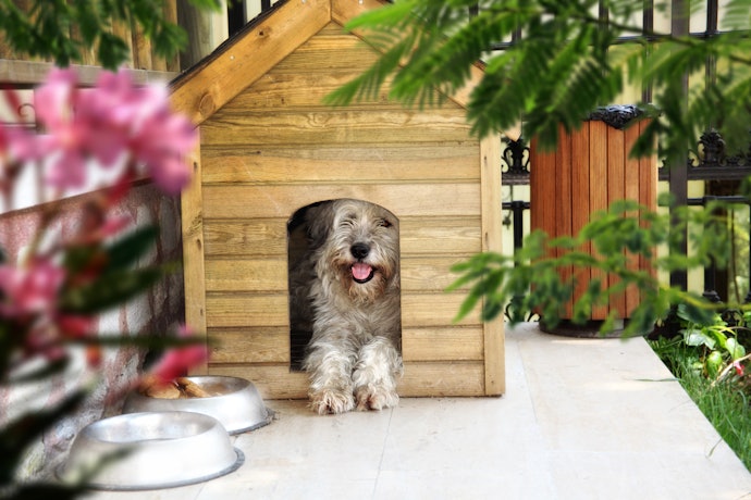 サイズは、愛犬が中に入って1回転できる程度が目安