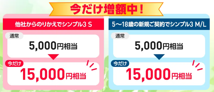 Y!mobile|対象プラン契約で最大15,000円相当のポイント付与