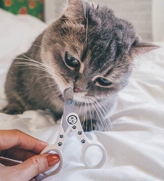 切断音や衝撃はほとんどない。爪切りを嫌がる猫にもトライしやすい