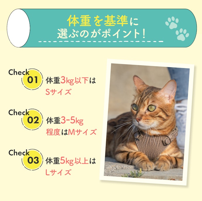 飼い猫に適したサイズを選ぼう